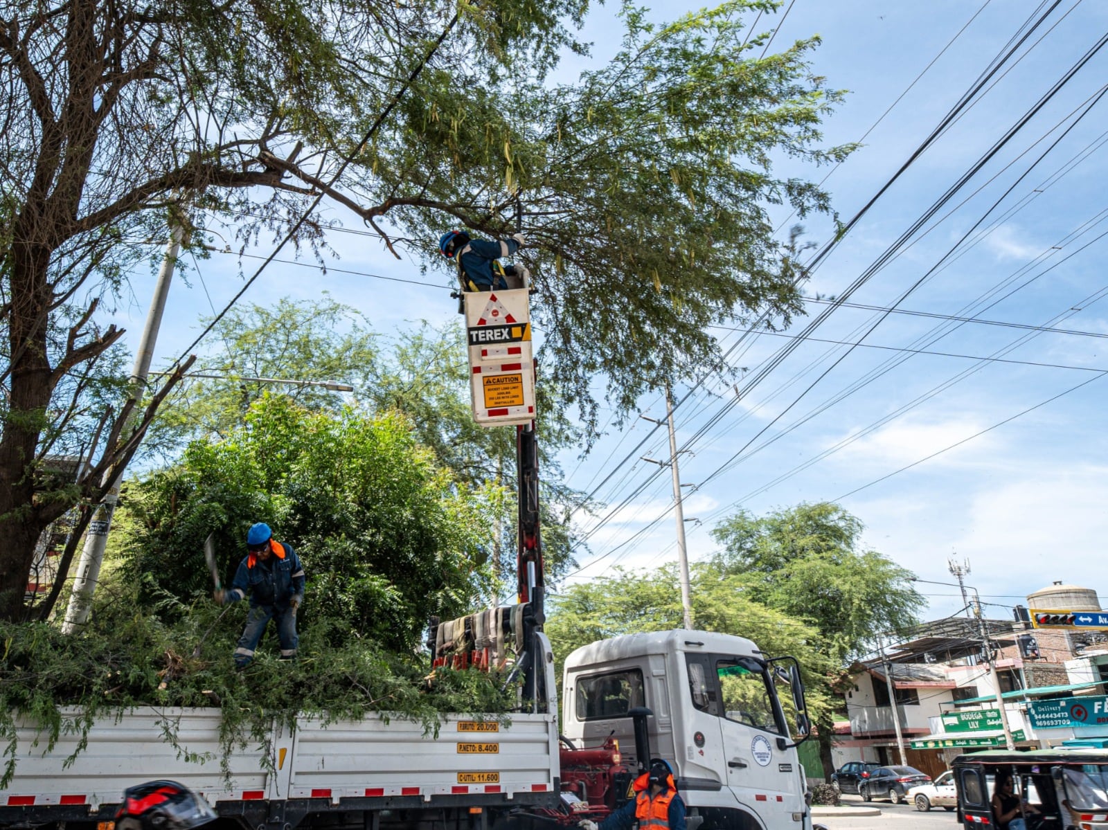 Enosa realiza trabajos de prevención.