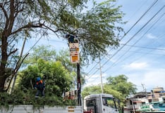 Enosa intensifica poda preventiva en zonas de Piura para reducir riesgos eléctricos