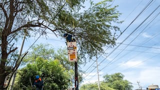 Enosa intensifica poda preventiva en zonas de Piura para reducir riesgos eléctricos