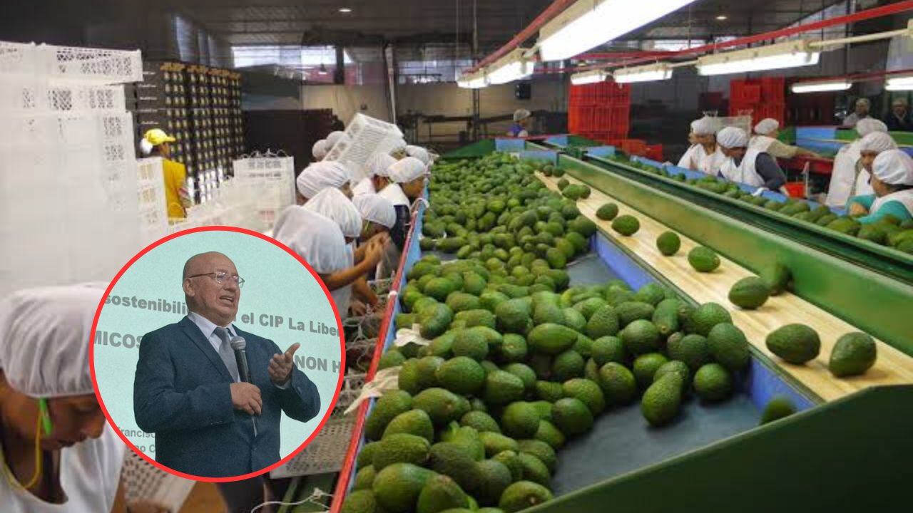 Francisco Huerta, presidente del Instituto de Economía y Empresa y decano del Colegio de Economistas de La Libertad, indicó que hay un crecimiento sostenido de las inversiones en la región.