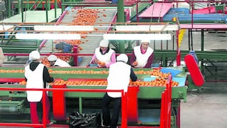 Producción de mandarinas crecería 8.5%