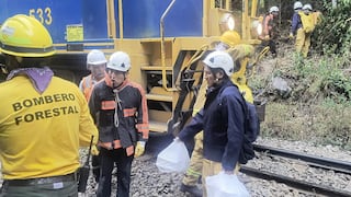 Reanudan salidas de tren a Machu Picchu tras incendio forestal