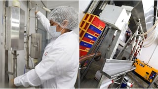 Ica: invierten más de S/349 mil para fortalecer la producción vitivinícola