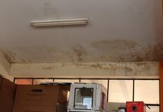 Techo es nido de palomas y paredes con filtraciones en colegio