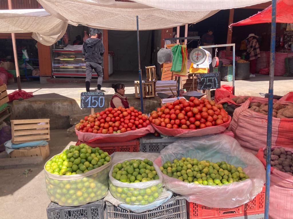Usuarios se quejan de precios altos. (Foto: GEC)