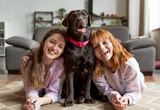 Cuidado con las zoonosis en Navidad: cómo proteger a la familia cuando las mascotas duermen con sus dueños