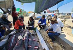 Arequipa: Anciano dormía en la tumba de su esposa en Majes