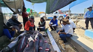 Arequipa: Anciano dormía en la tumba de su esposa en Majes