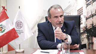 Canciller Elmer Schialer participará en actividades oficiales en Alemania