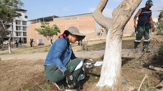 Integración vecinal es clave para la ciudad de Trujillo