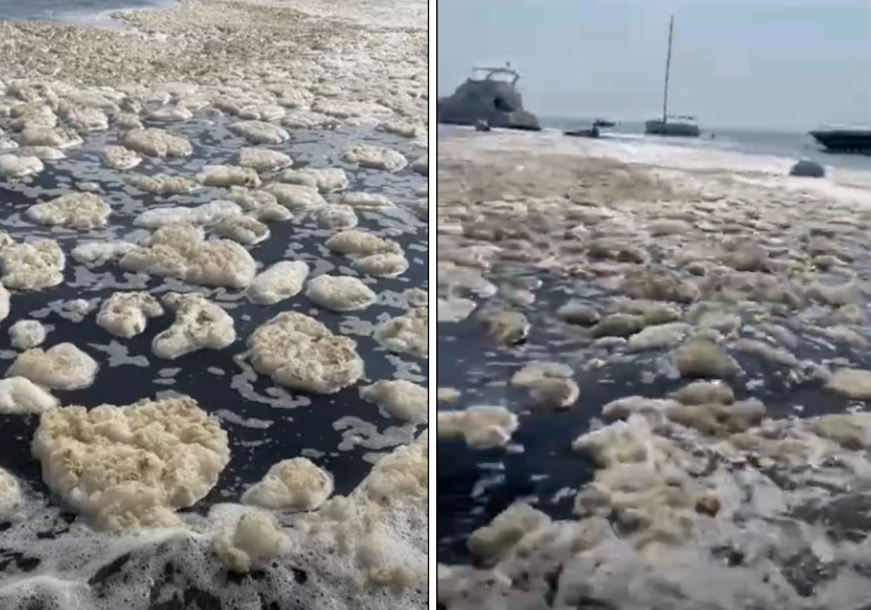 Evidencia de un evento de floraciones algales nocivas en Pucusana (Foto: Proyecto Tadeo)