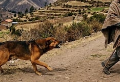 Niña de 3 años queda gravemente herida tras ataque de perro en Marabamba