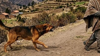 Niña de 3 años queda gravemente herida tras ataque de perro en Marabamba