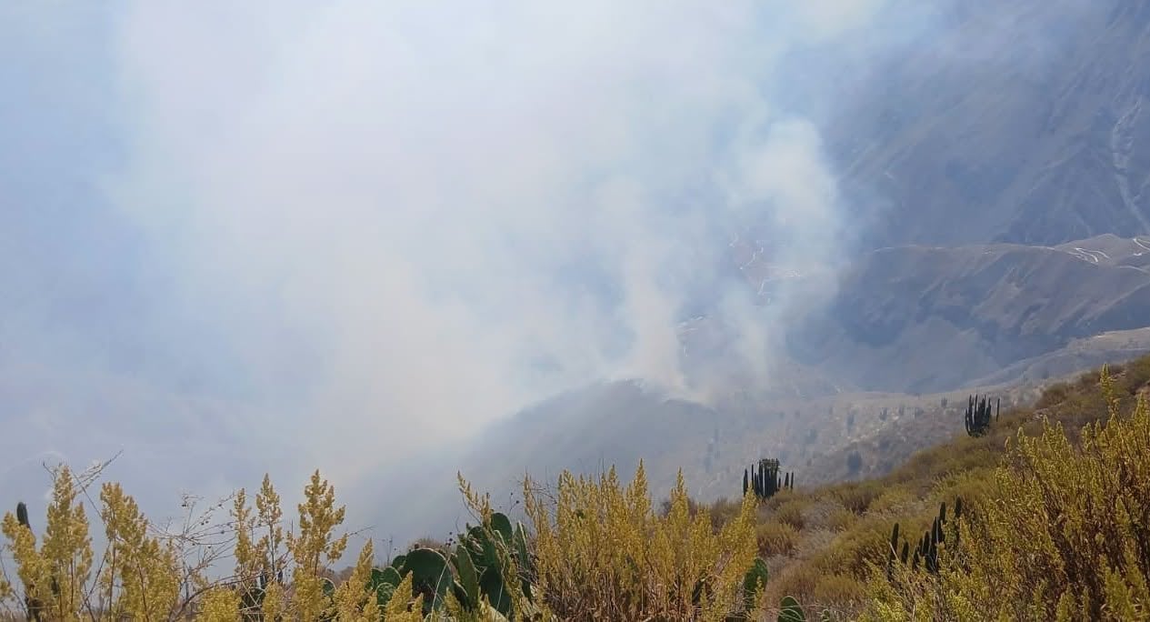 Incendio forestal se registra en Cabanaconde