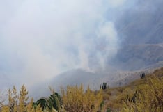 Incendio forestal se registra en Cabanaconde