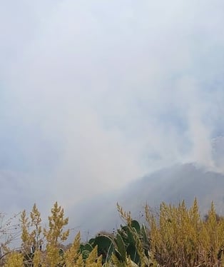 Incendio forestal se registra en Cabanaconde