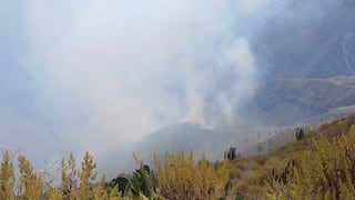 Incendio forestal se registra en Cabanaconde