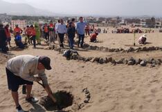 Trujillo: Siembran 650 árboles en las faldas del Cerro Bolongo