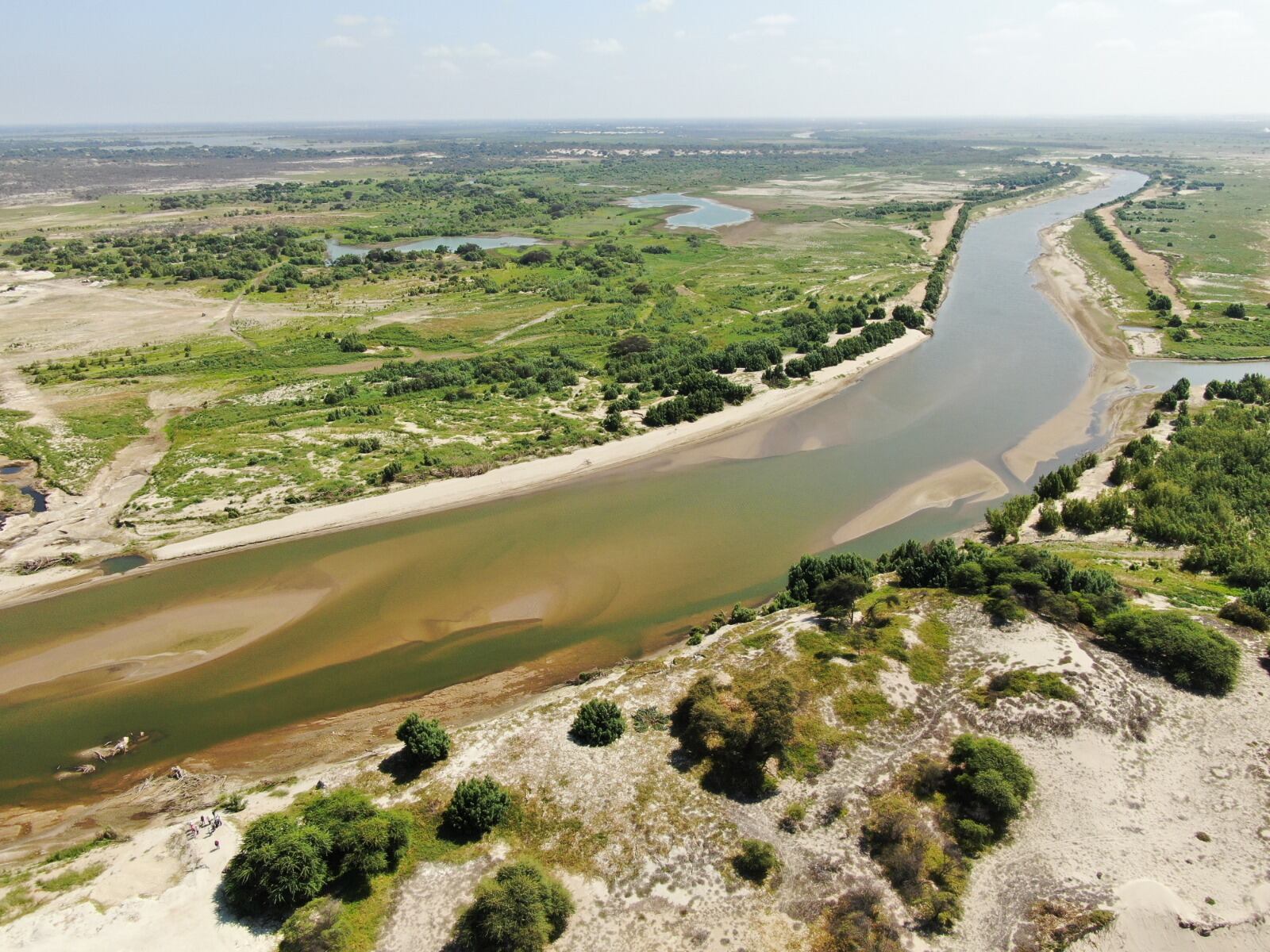 Limpieza permitirá evitar eventuales desbordes del río Piura que pueda afectar a la población y las tierras agrícolas de las zonas, tal como sucedió en el 2017.