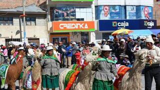 Por el Día Nacional de la Alpaca realizarán festival regional en Juliaca