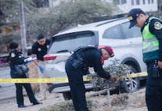 Puente Piedra: PNP rescató a conductor y abate a presunto secuestrador tras persecución