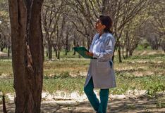 Piura: Urge proteger el algarrobo para un futuro sostenible