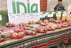 Arequipa concentra más de 2 mil variedades de papa con valor nutritivo