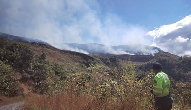 De estos la mayoría se encuentra activo, siendo combatidos por bomberos, policías, serenos y los mismos pobladores. Las autoridades han llamado a los agricultores a no realizar la quema de sus campos de cultivo, pero esta práctica se sigue llevando a cabo.