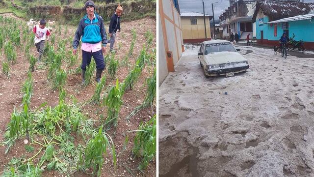 Granizadas dañan cultivos en dos provincias de Huánuco