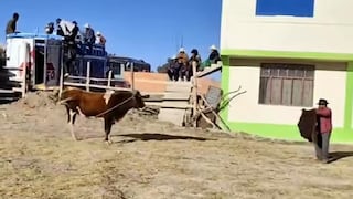 Puno: Adulto mayor muere tras ser embestido en corrida de toros