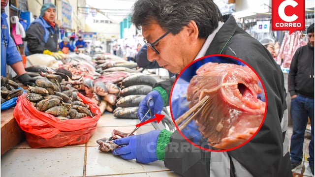 Huancayo: En inspección a mercado hallan gusanos en pescados  a la venta