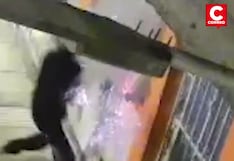 Rímac: Delincuentes extorsionan a vendedora de alitas broaster y detonan explosivo en la puerta de su negocio