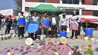 Huancayo: Productores de Marcavalle producen 200 variedades de papa