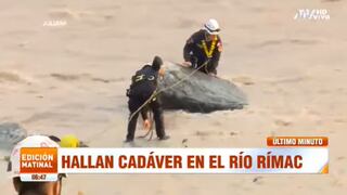 Hallan cuerpo sin vida de un hombre en el río Rímac (VIDEO)