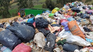 Junín: Proliferan ratas y moscas por basura acumulada generando malestares a pobladores