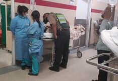 Arequipa: Hospitalizan a una estudiante tras ataque de perros pitbull en Cayma