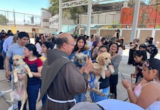 Decenas de mascotas recibieron la tradicional bendición en la provincia de Ica