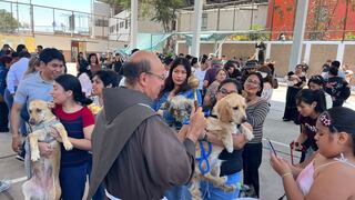 Decenas de mascotas recibieron la tradicional bendición en la provincia de Ica