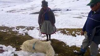 72 distritos de la región Puno son declarados en emergencia por heladas