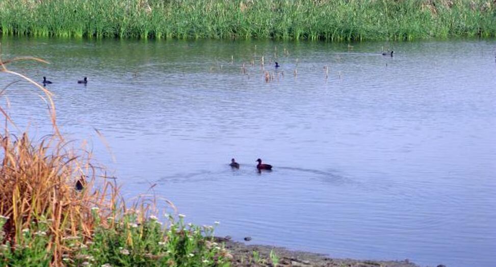 Se reunieron funcionarios de las municipalidades de Sullana y Querecotillo, así como del Gobierno Regional de Piura