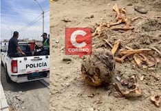 Ica: restos óseos prehispánicos son hallados en vivienda del condominio El Remanso, en Subtanjalla