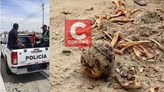 Ica: restos óseos prehispánicos son hallados en vivienda del condominio El Remanso, en Subtanjalla