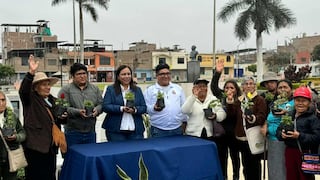 Trujillo: Firman convenio para sembrar 500 árboles en el distrito El Porvenir