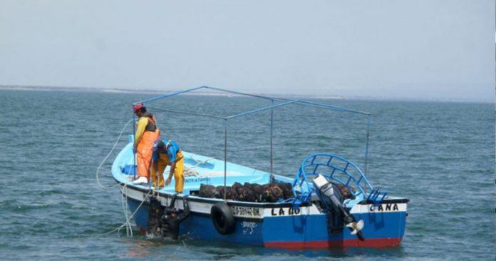 Padre de familia de tres menores hijos murió lamentablemente cuando realizaba labores en el mar de Camaná, en Arequipa. La familia trasladará su cuerpo a Sechura