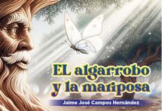 El algarrobo y la mariposa en Chepén