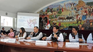 485° Aniversario de Arequipa no dejó utilidades