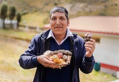 En Junín 160 mil productores de campo enfrentan falta de agua para riego