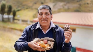 Junín registra 160 mil agricultores, pero cifra real podría superar los 500 mil productores