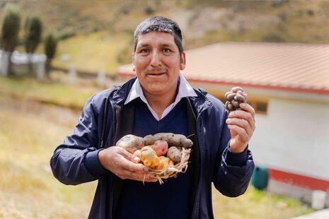 Junín registra 160 mil agricultores, pero cifra real podría superar los 500 mil productores
