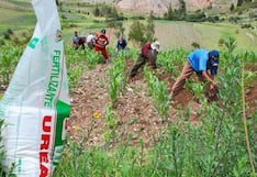 En Ica, el 65.4% de los productores utiliza fertilizantes y alertan mayores costos